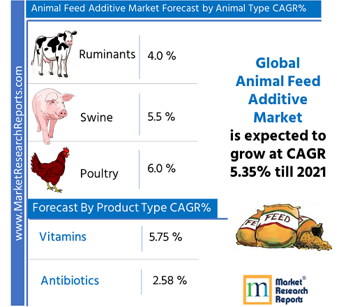 Global Animal Feed Additive Market Research Report 2021'
