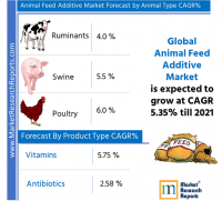 Global Animal Feed Additive Market Research Report 2021