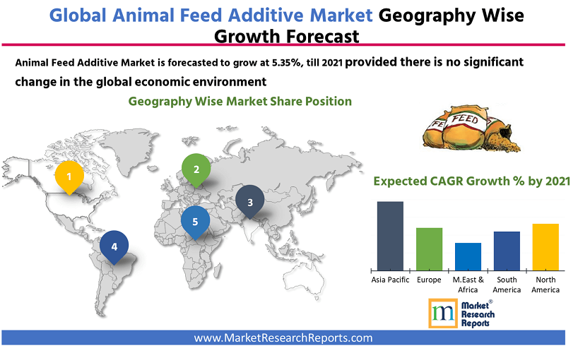 Global Animal Feed Additive Market Research Report 2021