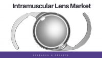 Intramuscular Lens Market