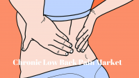 Chronic Low Back Pain Market