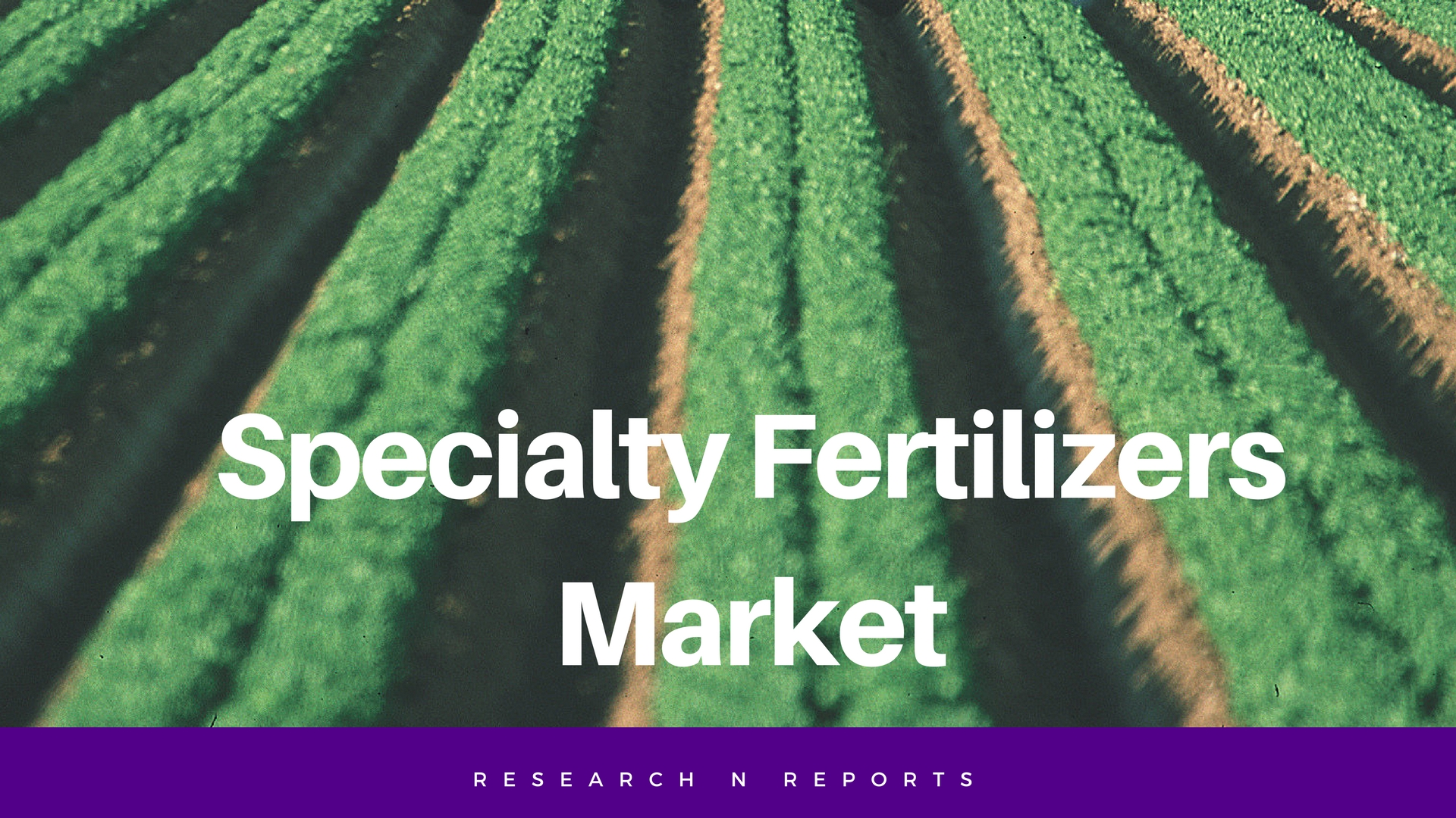 Specialty Fertilizers Market'