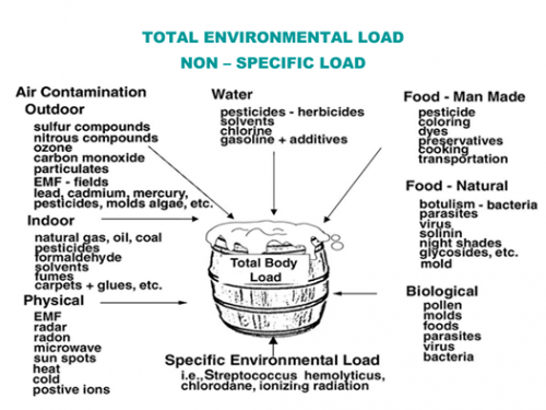 Total Environmental Load'