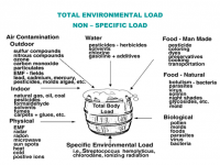 Total Environmental Load