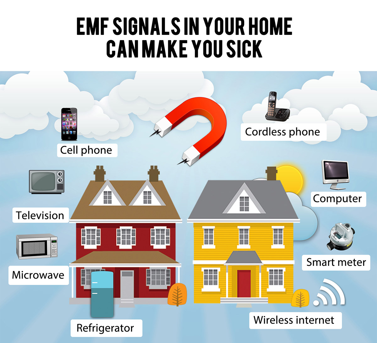 EMF signals in the home.'