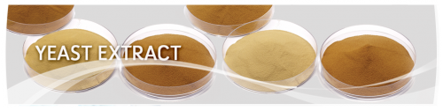 Global east Extracts And Beta-Glucan market'