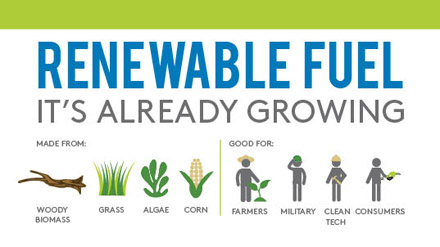Global Renewable Fuel market