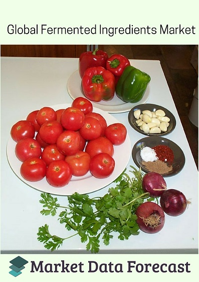 Fermented Ingredients Market Report