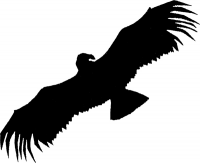 Condor Publishing, Inc. Logo