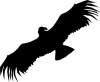 Company Logo For Condor Publishing, Inc.'