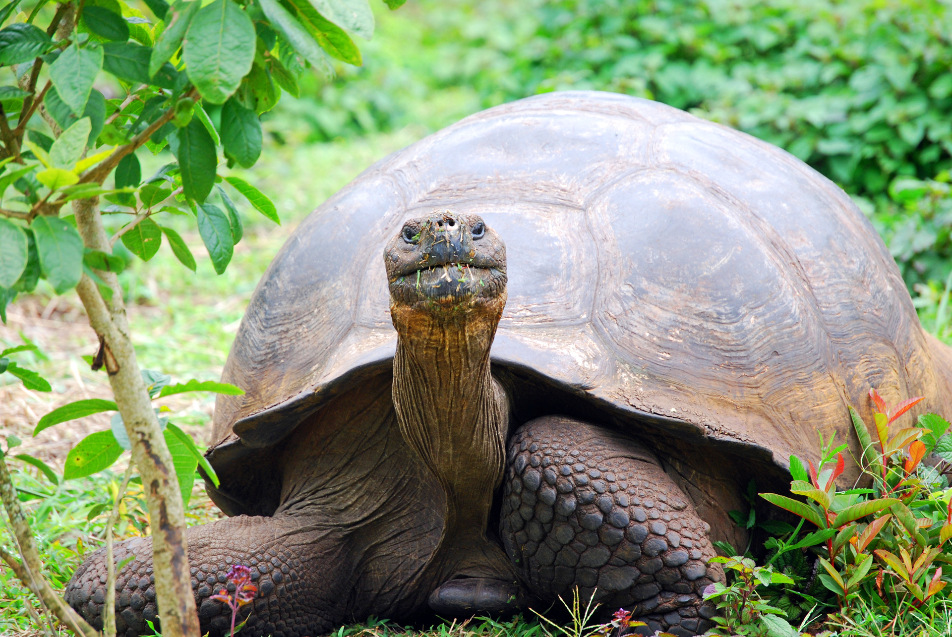8-Day Multisport Galapagos Island Hopping