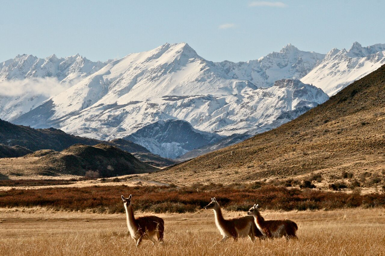 8-Day Remote Trails Aysen and Patagonia Park