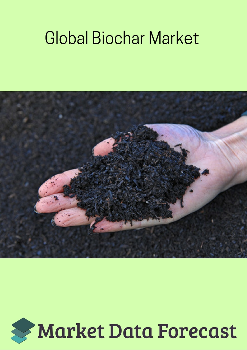 Biochar Market'