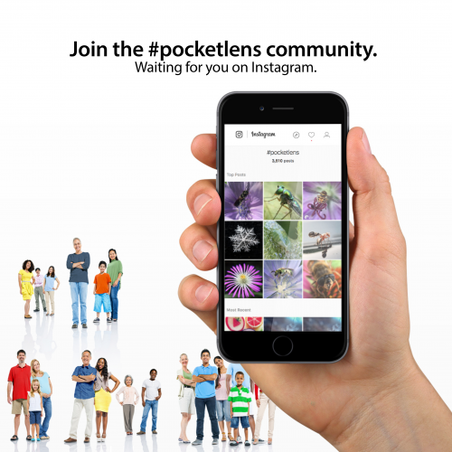 Join the Pocket Lens community on Instagram'