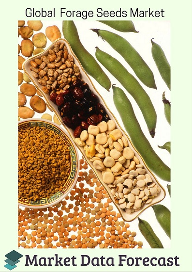 Global Forage seed market'