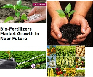 Bio-Fertilizers Market'