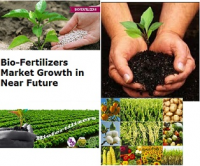 Bio-Fertilizers Market