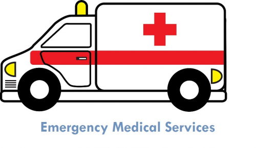 Emergency Medical Services Market'