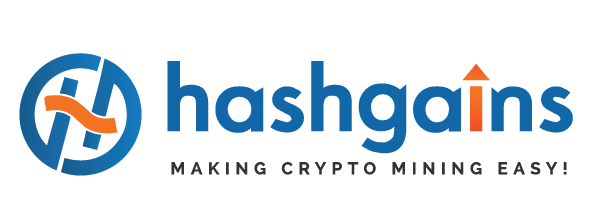 Company Logo For HashGains'