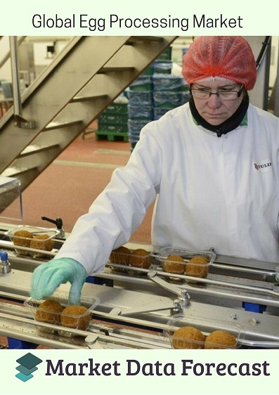 Egg Processing Market