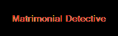 Matrimonial Detective Logo
