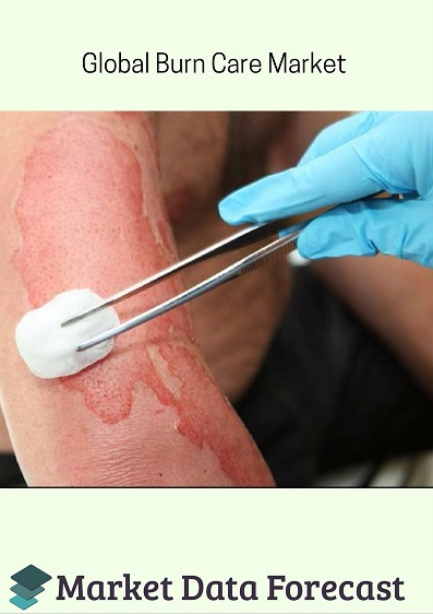 Burn Care Market