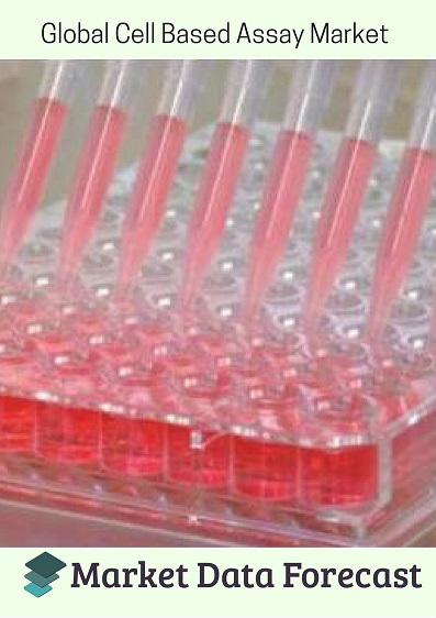 Cell Based Assay Market