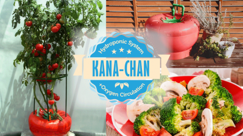 KANA-chan, The World's Best Hydroponic Oxygen System'