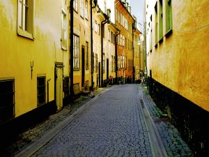 Sudscape Brings Environmentally Friendly Porous Paving Solut'