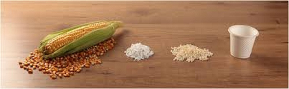 Starch based Bioplastics'