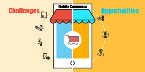 Mobile Commerce Market 2018'