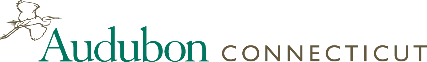Audubon Connecticut Logo