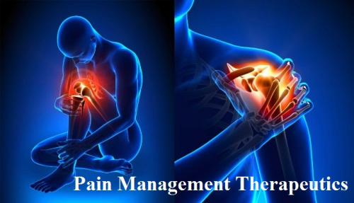 Pain Management Therapeutics Market'