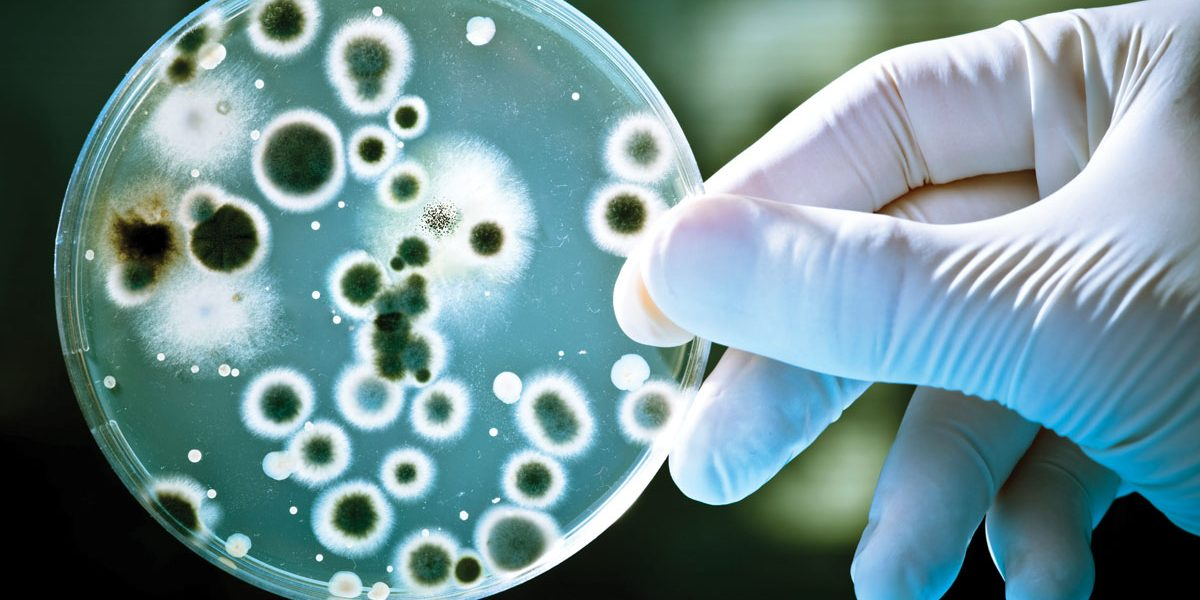 Agricultural Biologicals Testing'
