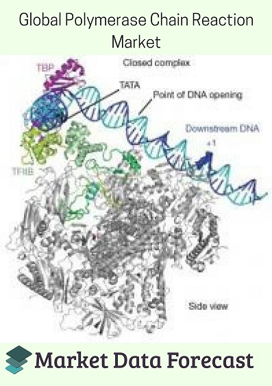 Polymerase Chain Reaction market