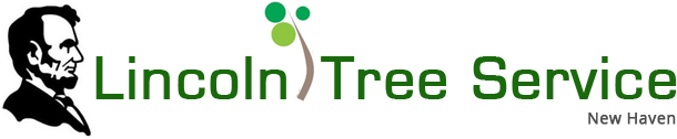 Company Logo For Lincoln Tree Service'