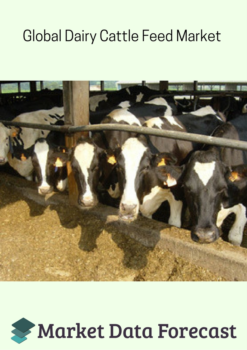 Dairy Cattle Feed Market'