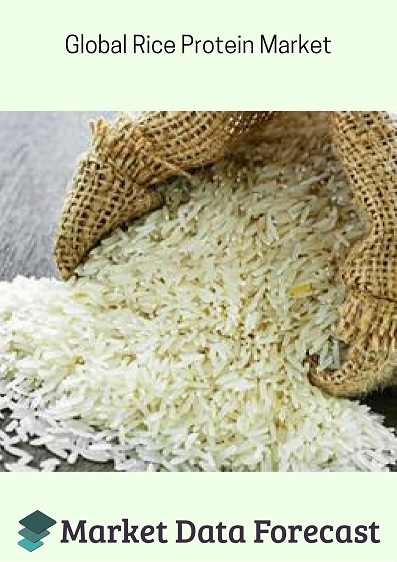 Rice Protein Market