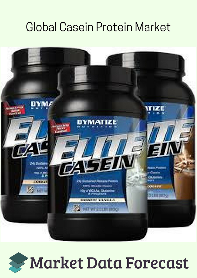 Casein Protein Market