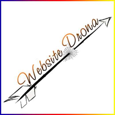 Website Drona Logo