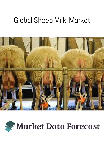 Sheep Milk Market'