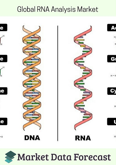 RNA Analysis Market'