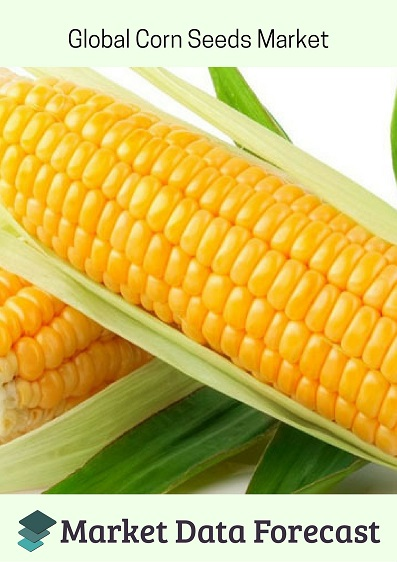 Corn Seeds Market
