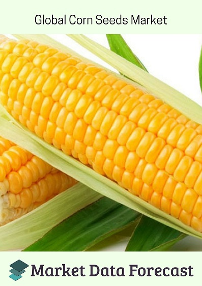 Corn Seeds Market'