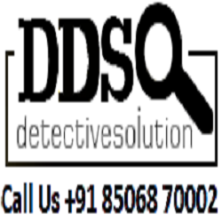 Company Logo For DDS Detective Agency in Delhi India'