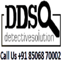 DDS Detective Agency in Delhi India Logo