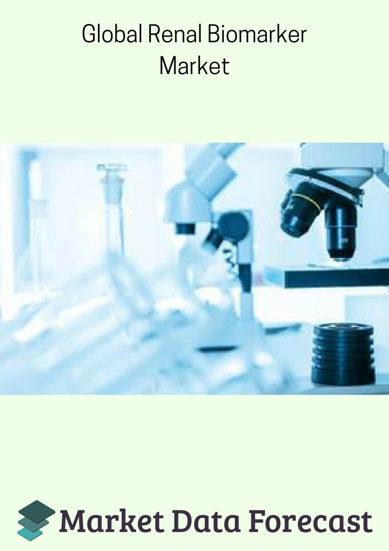 Efficient kidney toxicity screening, thanks to new Renal Bio'