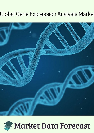 Global Gene Expression Analysis Market