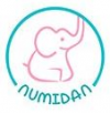 Company Logo For NUMIDAN'