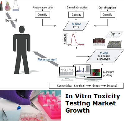 In Vitro Toxicity Testing Market by Key Players, Product,Ana'